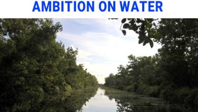 Dushanbe Declaration Calls for Greater Global Ambition on Water 1 Dushanbe Declaration Calls for Greater Global Ambition on Water