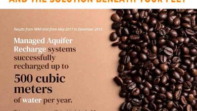 Vietnam's Coffee Crisis: How Climate Change Threatens Your Morning Brew — and the Solution Beneath Your Feet