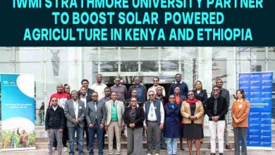 IWMI, Strathmore University Partner to Boost Solar-Powered Agriculture in Kenya and Ethiopia