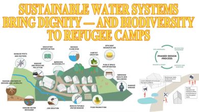 Sustainable Water Systems Bring Dignity — and Biodiversity — to Refugee Camps 4 Sustainable Water Systems Bring Dignity — and Biodiversity — to Refugee Camps