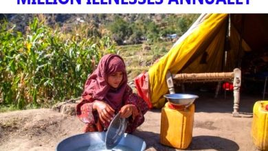 WHO: Unsafe Food Causes 866 Million Illnesses Annually