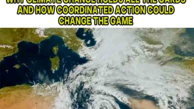 Why Climate Change Holds All the Cards — And How Coordinated Action Could Change the Game 1 Why Climate Change Holds All the Cards — And How Coordinated Action Could Change the Game