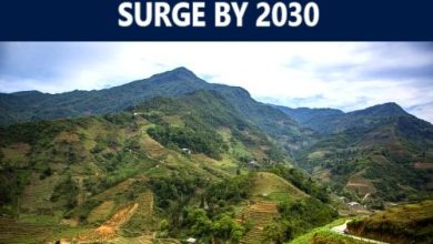UN Report: AI's Water and Land Footprint Set to Surge by 2030