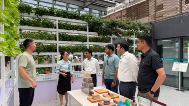 China-Pakistan Agri Cooperation: Speed Breeding, Canola Tech Boost Green CPEC 1 China-Pakistan Agri Cooperation: Speed Breeding, Canola Tech Boost Green CPEC