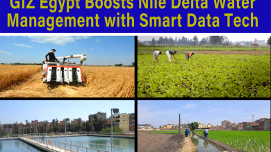 GIZ Egypt Boosts Nile Delta Water Management with Smart Data Tech 1 GIZ Egypt Boosts Nile Delta Water Management with Smart Data Tech
