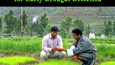 UN Agencies Launch AI Challenge for Early Drought Detection 2 UN Agencies Launch AI Challenge for Early Drought Detection