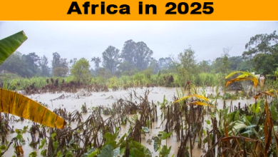 WMO Report: Extreme Weather Killed 3,000+ in Africa in 2025