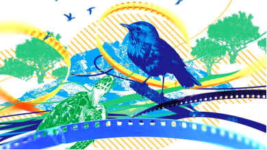 COP31 Climate Short Film Competition Opens for Entries 3 COP31 Climate Short Film Competition Opens for Entries