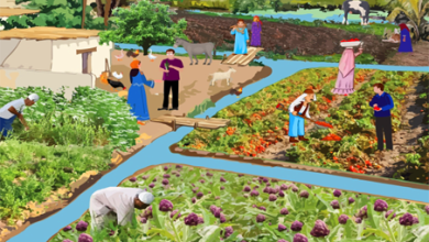 Women-Run Nawallas Boost Income in Egypt's Nile Delta 1 Women-Run Nawallas Boost Income in Egypt's Nile Delta
