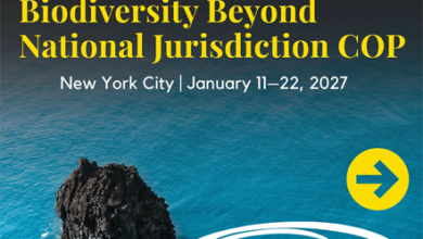 BBNJ COP1 Reporting Fellowship 2027: Deadline Extended to October 29