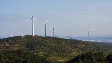 EU Pushes Mitigation Package at COP31 Amid 1.5C Warning