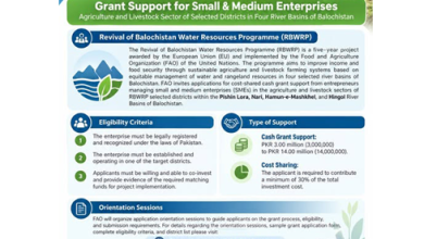 FAO Grants for Balochistan Agriculture and Livestock SMEs: PKR 3–14 Million 1 FAO Grants for Balochistan Agriculture and Livestock SMEs: PKR 3–14 Million