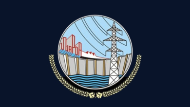 WAPDA Foundation Hires Deputy Manager Tech for PTESU
